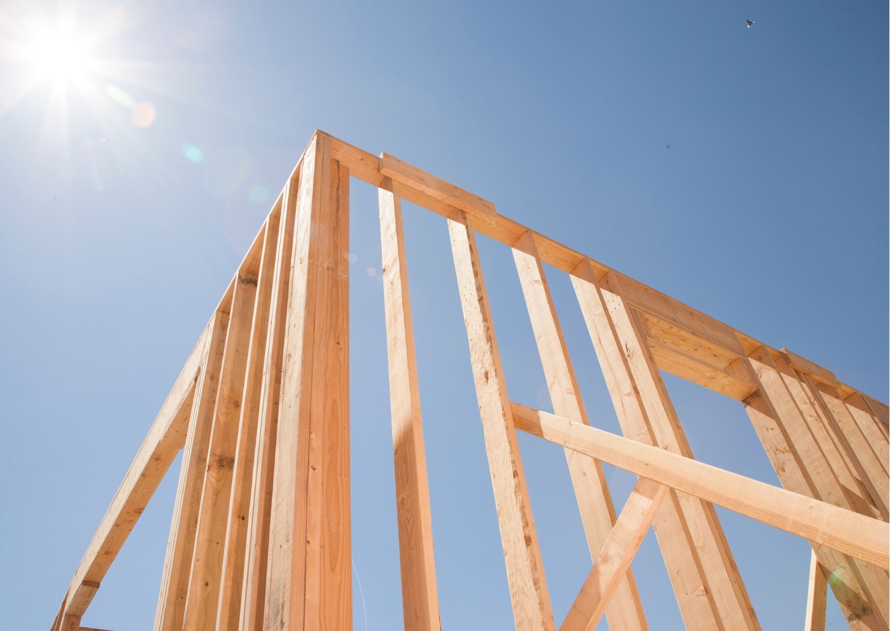 Il nuovo residente di TASED avvierà la produzione di materiali per la costruzione di alloggi in legno a Lesnoy.